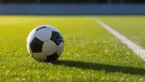 大发彩票 资讯 170117 3e7