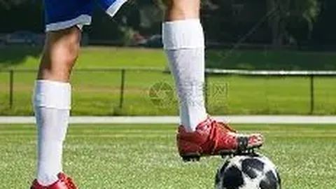 大发彩票 资讯 090734 lvr