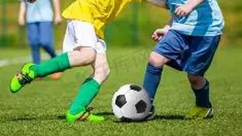 大发彩票 资讯 102516 k08