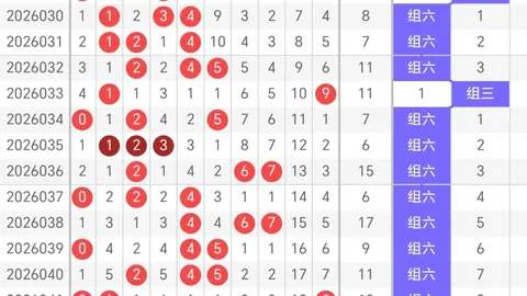 【赢在未来】体彩排列3惊喜推荐：组选六必杀组合，169号码独家预测！